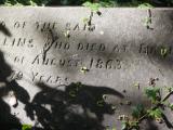 image of grave number 835481